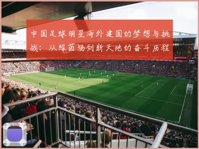 中国足球明星海外建国的梦想与挑战：从绿茵场到新天地的奋斗历程
