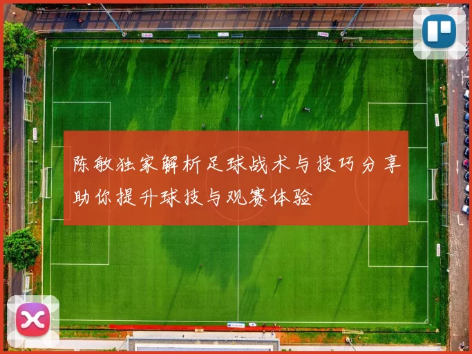 陈敏独家解析足球战术与技巧分享助你提升球技与观赛体验