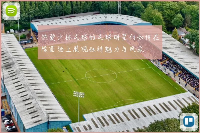 热爱少林足球的足球明星们如何在绿茵场上展现独特魅力与风采