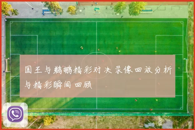 国王与鹈鹕精彩对决录像回放分析与精彩瞬间回顾