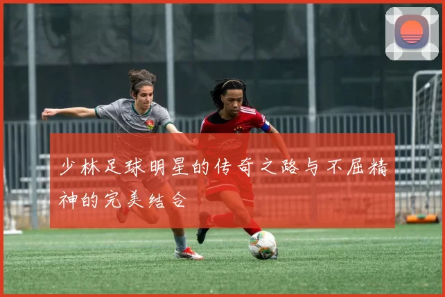 少林足球明星的传奇之路与不屈精神的完美结合