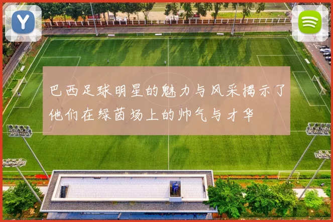 巴西足球明星的魅力与风采揭示了他们在绿茵场上的帅气与才华