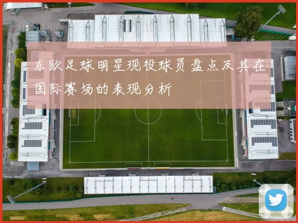 东欧足球明星现役球员盘点及其在国际赛场的表现分析