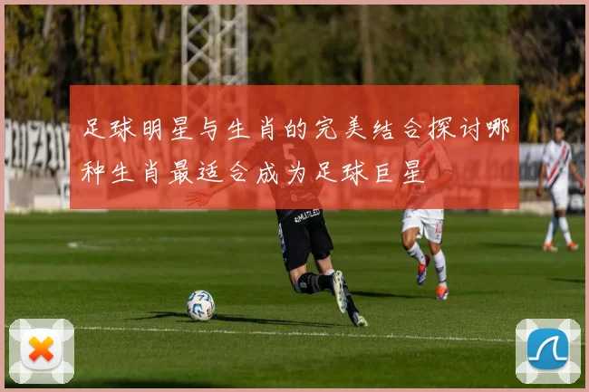足球明星与生肖的完美结合探讨哪种生肖最适合成为足球巨星