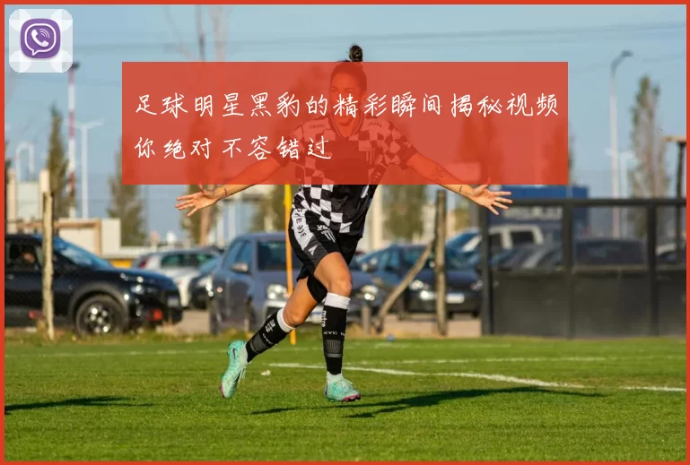 足球明星黑豹的精彩瞬间揭秘视频你绝对不容错过