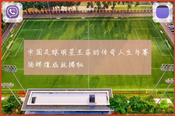 中国足球明星王菲的传奇人生与赛场辉煌成就揭秘
