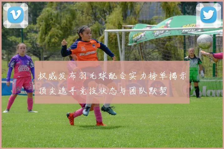 权威发布羽毛球配合实力榜单揭示顶尖选手竞技状态与团队默契
